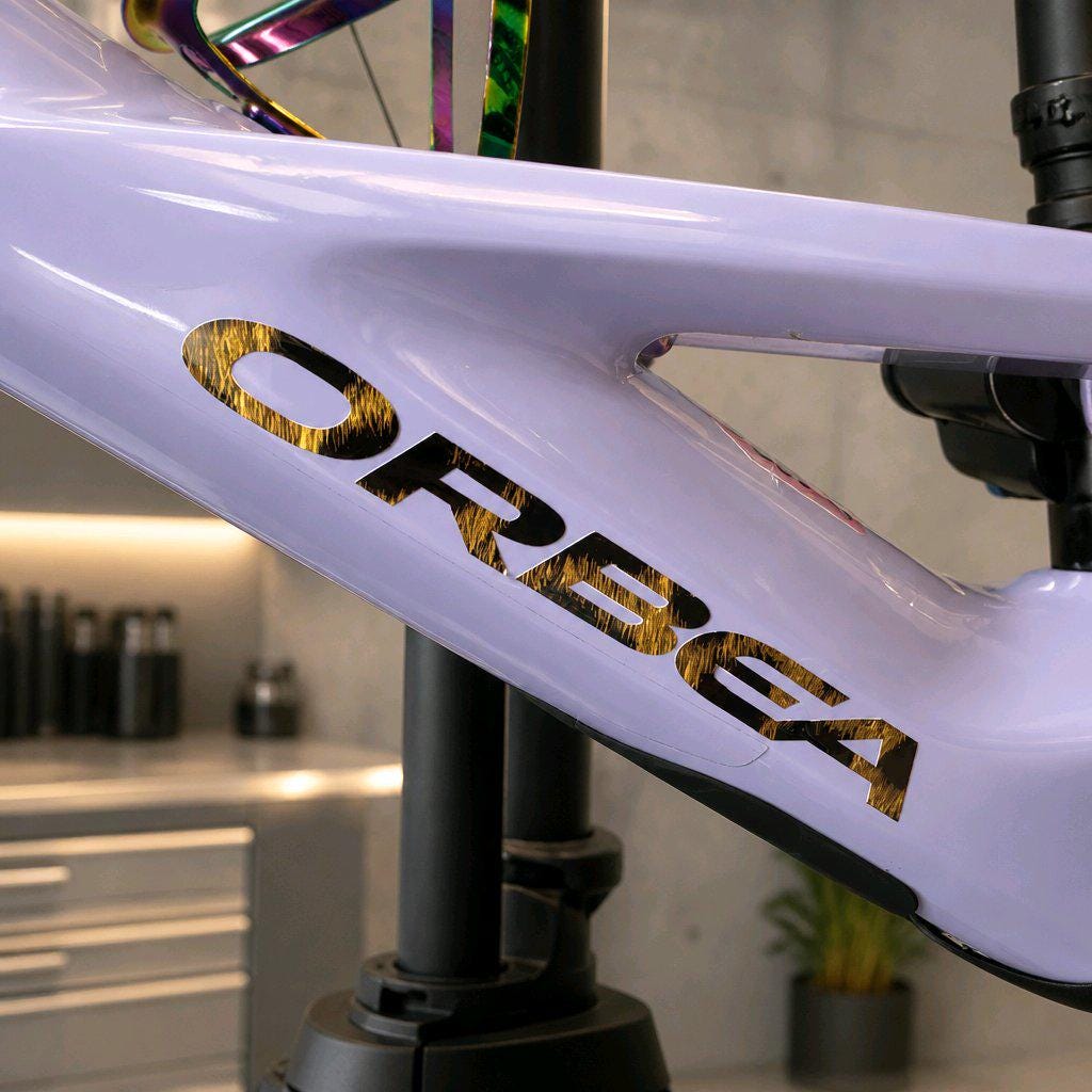Logo-Overlay für Orbea Wild, Rise, Oiz, Orca & Terra – MTB / E-Bike